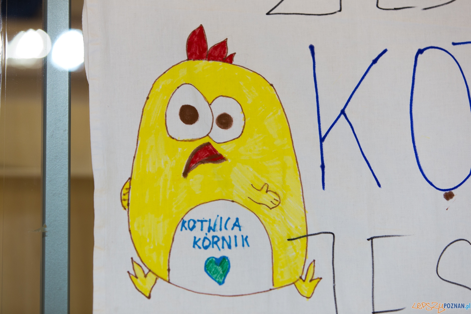 5. kolejka ekstraligi futsalu kobiet: KU AZS UAM Poznań – Kot Foto: lepszyPOZNAN.pl / Piotr Rychter 5. kolejka ekstraligi futsalu kobiet: KU AZS UAM Poznań – Kot Foto: lepszyPOZNAN.pl / Piotr Rychter