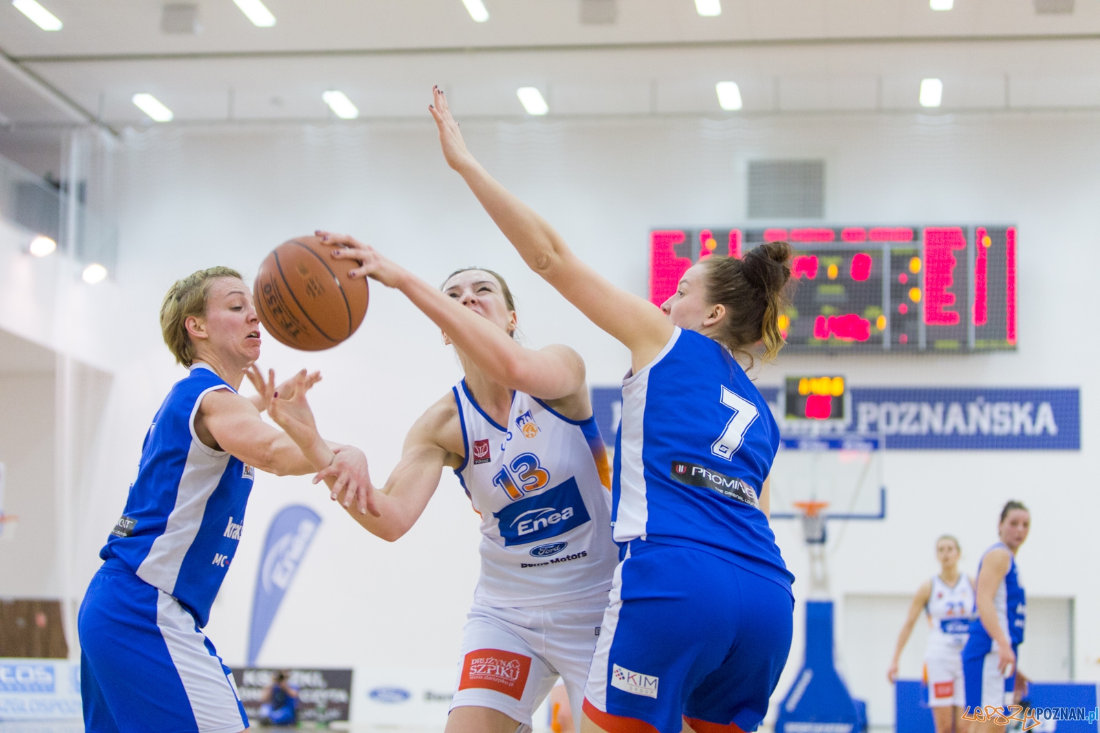 Enea AZS Poznań - AZS Politechnika Korona Kraków Foto: lepszyPOZNAN.pl / Piotr Rychter Enea AZS Poznań - AZS Politechnika Korona Kraków Foto: lepszyPOZNAN.pl / Piotr Rychter