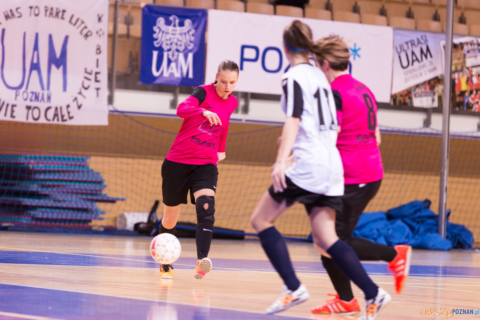 AZS Uam Poznań - Viking Aleksandrów Kujawski Foto: lepszyPOZNAN.pl / Piotr Rychter AZS Uam Poznań - Viking Aleksandrów Kujawski Foto: lepszyPOZNAN.pl / Piotr Rychter