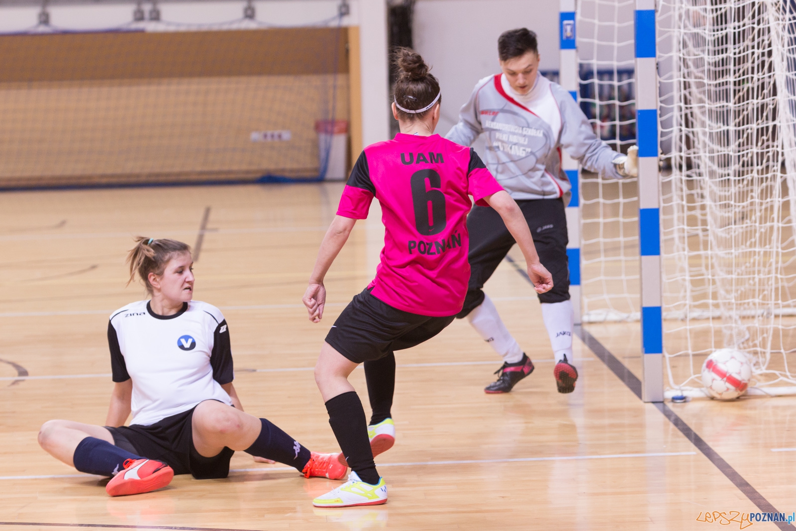 AZS Uam Poznań - Viking Aleksandrów Kujawski Foto: lepszyPOZNAN.pl / Piotr Rychter AZS Uam Poznań - Viking Aleksandrów Kujawski Foto: lepszyPOZNAN.pl / Piotr Rychter