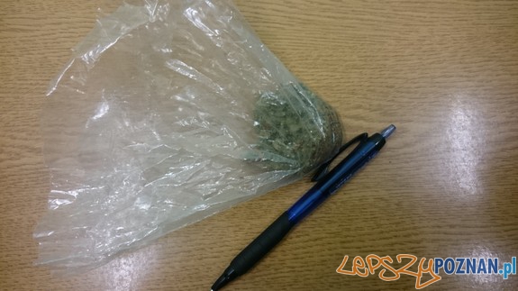 Przejęty susz Foto: Przejęty susz Foto: