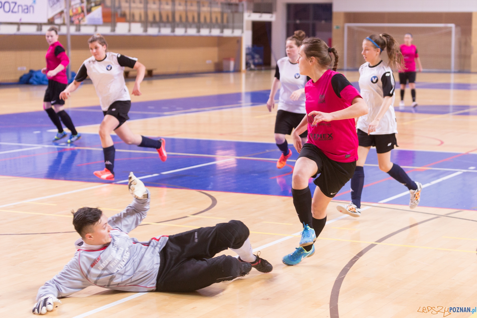 AZS Uam Poznań - Viking Aleksandrów Kujawski Foto: lepszyPOZNAN.pl / Piotr Rychter AZS Uam Poznań - Viking Aleksandrów Kujawski Foto: lepszyPOZNAN.pl / Piotr Rychter