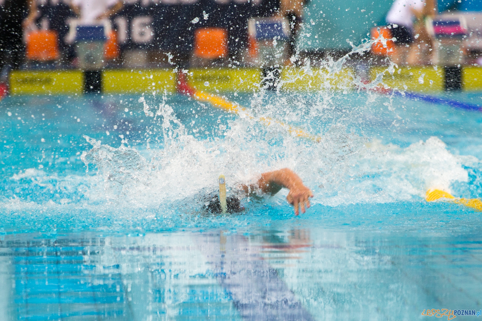 Puchar Świata Seniorów i Junioró w Pletwonurkowaniu Foto: lepszyPOZNAN.pl / Piotr Rychter Puchar Świata Seniorów i Junioró w Pletwonurkowaniu Foto: lepszyPOZNAN.pl / Piotr Rychter