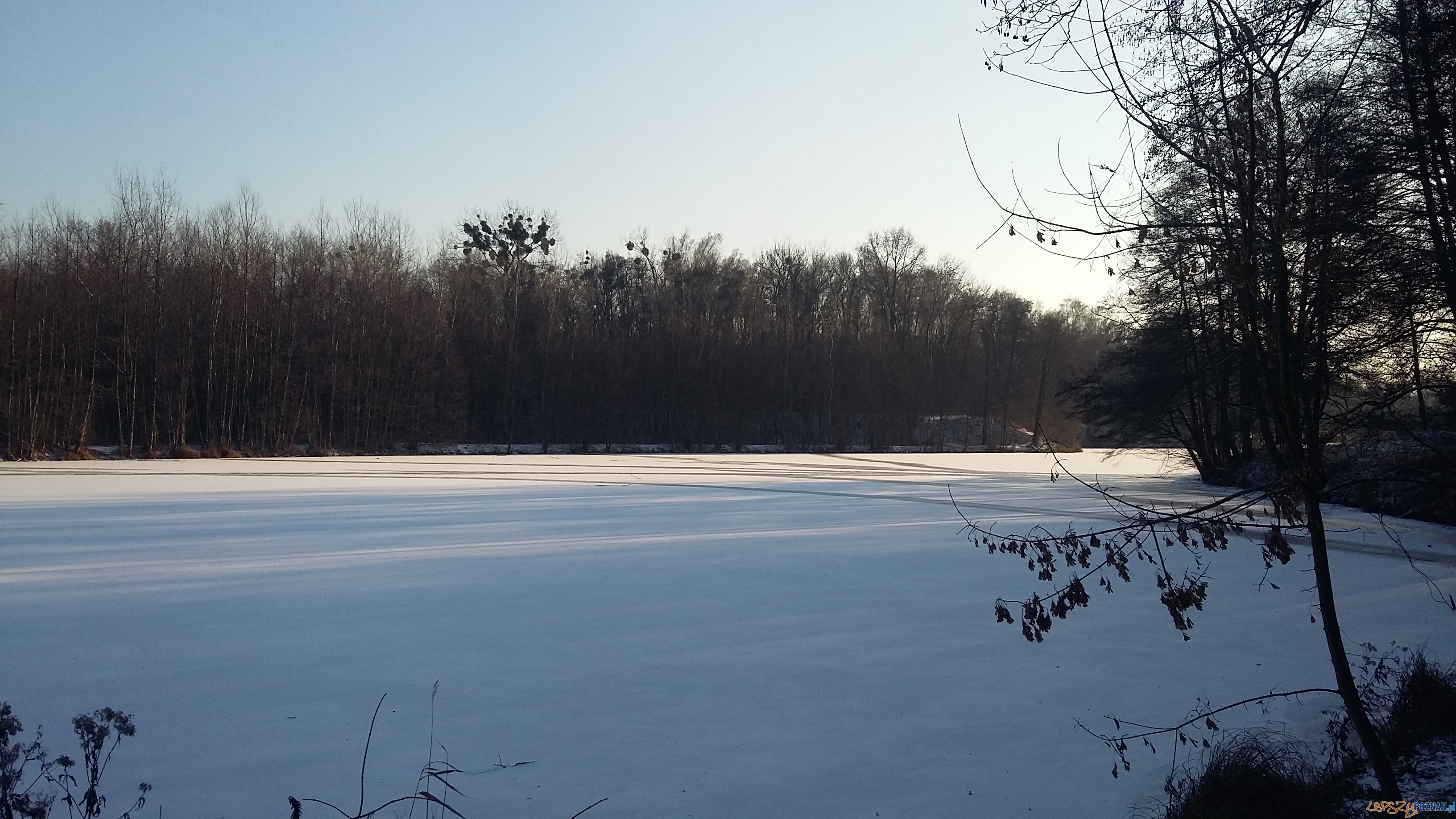 Szybka migawka - niedzielny spacer Foto: lepszyPOZNAN Szybka migawka - niedzielny spacer Foto: lepszyPOZNAN