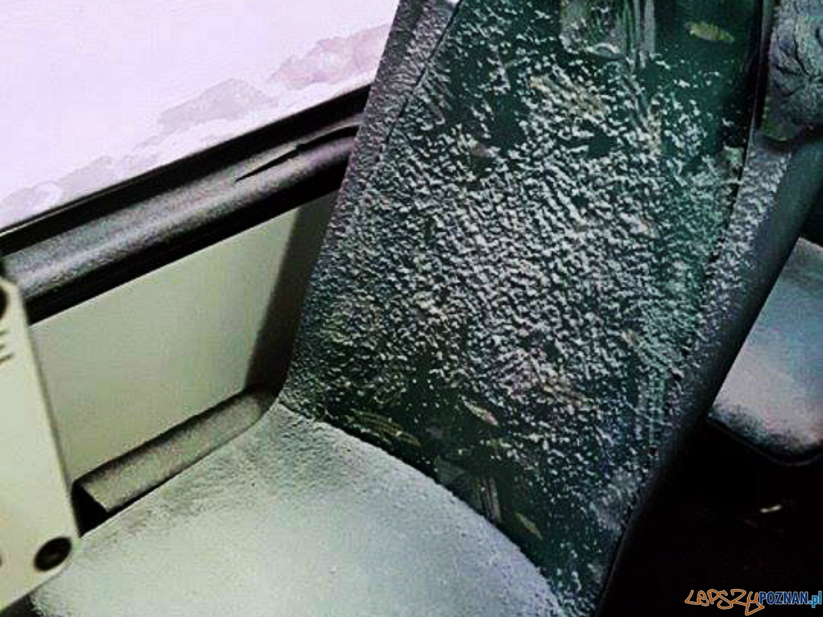 zaśnieżony fotel w bimbie  Foto: Spotted: MPK Poznań