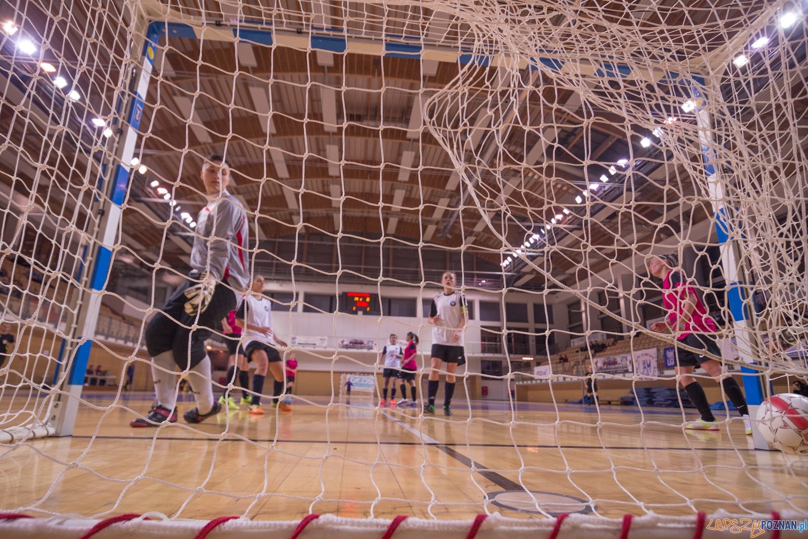 AZS Uam Poznań - Viking Aleksandrów Kujawski Foto: lepszyPOZNAN.pl / Piotr Rychter AZS Uam Poznań - Viking Aleksandrów Kujawski Foto: lepszyPOZNAN.pl / Piotr Rychter