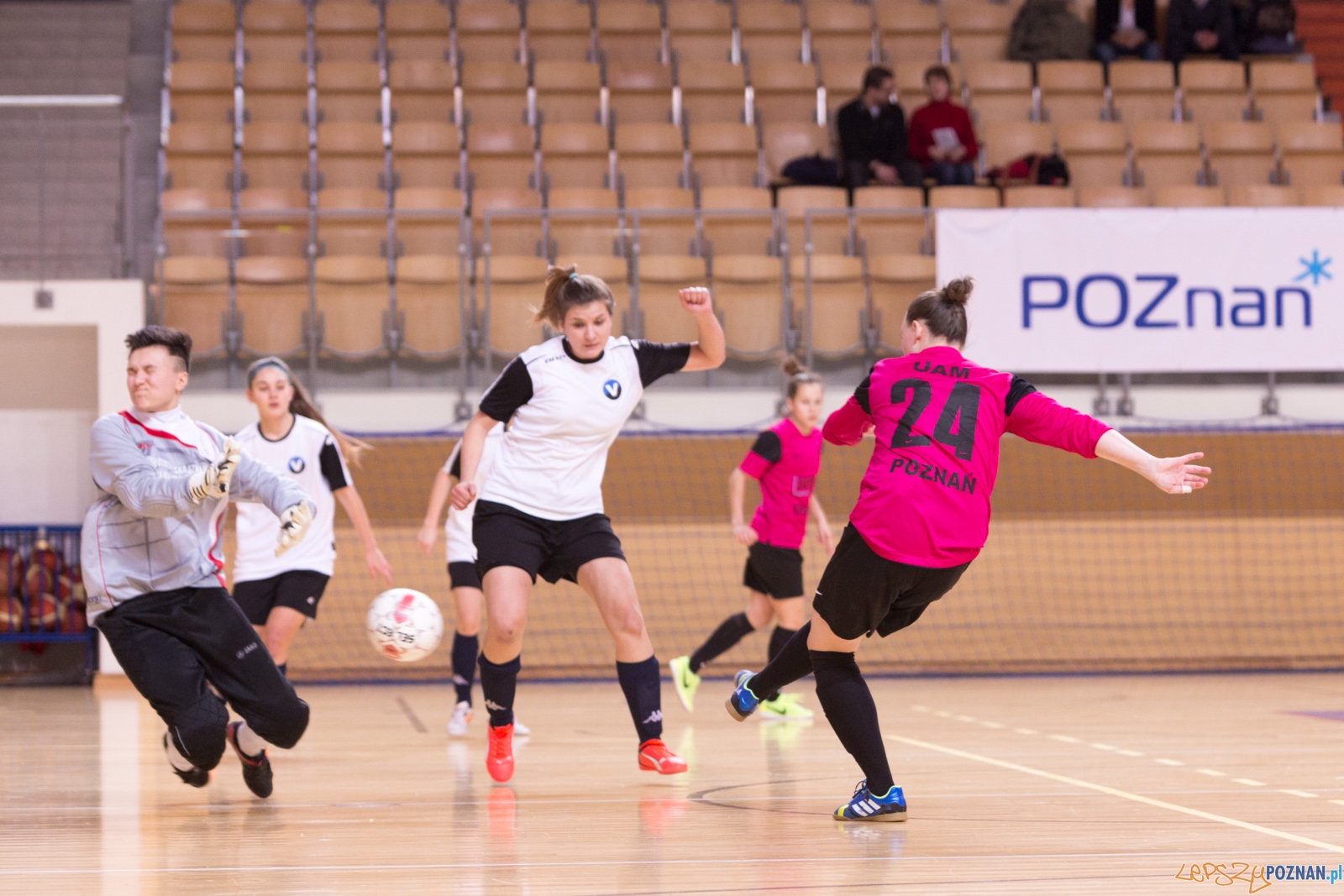 AZS Uam Poznań - Viking Aleksandrów Kujawski Foto: lepszyPOZNAN.pl / Piotr Rychter AZS Uam Poznań - Viking Aleksandrów Kujawski Foto: lepszyPOZNAN.pl / Piotr Rychter