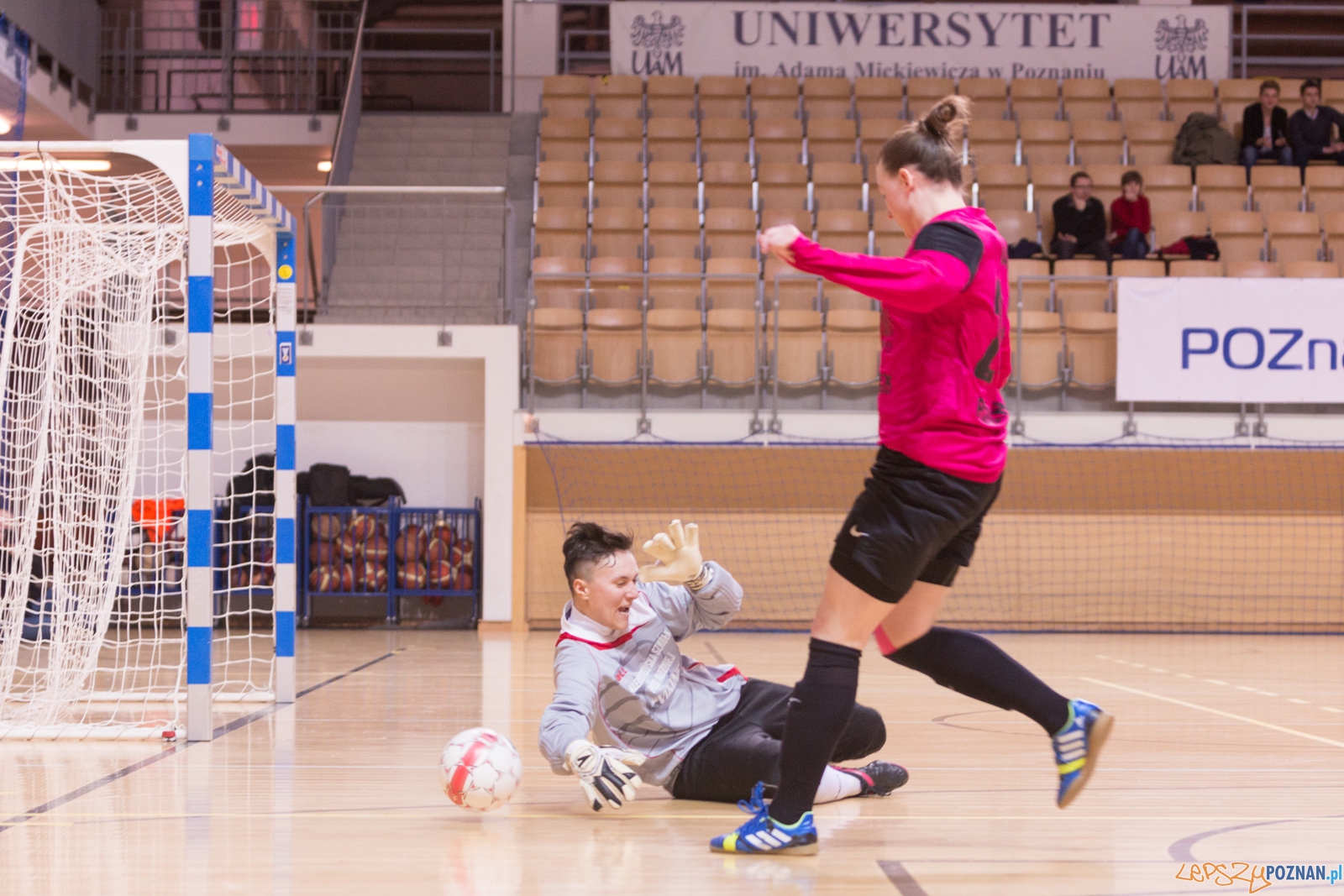 AZS Uam Poznań - Viking Aleksandrów Kujawski Foto: lepszyPOZNAN.pl / Piotr Rychter AZS Uam Poznań - Viking Aleksandrów Kujawski Foto: lepszyPOZNAN.pl / Piotr Rychter