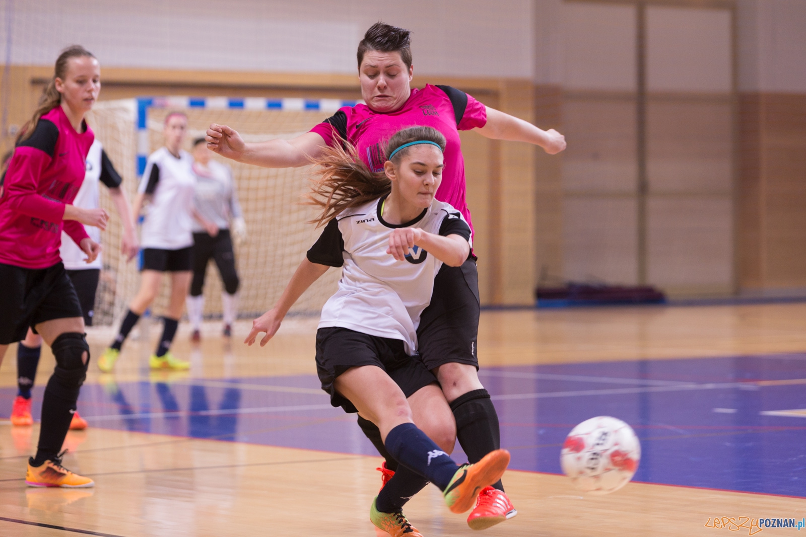 AZS Uam Poznań - Viking Aleksandrów Kujawski Foto: lepszyPOZNAN.pl / Piotr Rychter AZS Uam Poznań - Viking Aleksandrów Kujawski Foto: lepszyPOZNAN.pl / Piotr Rychter