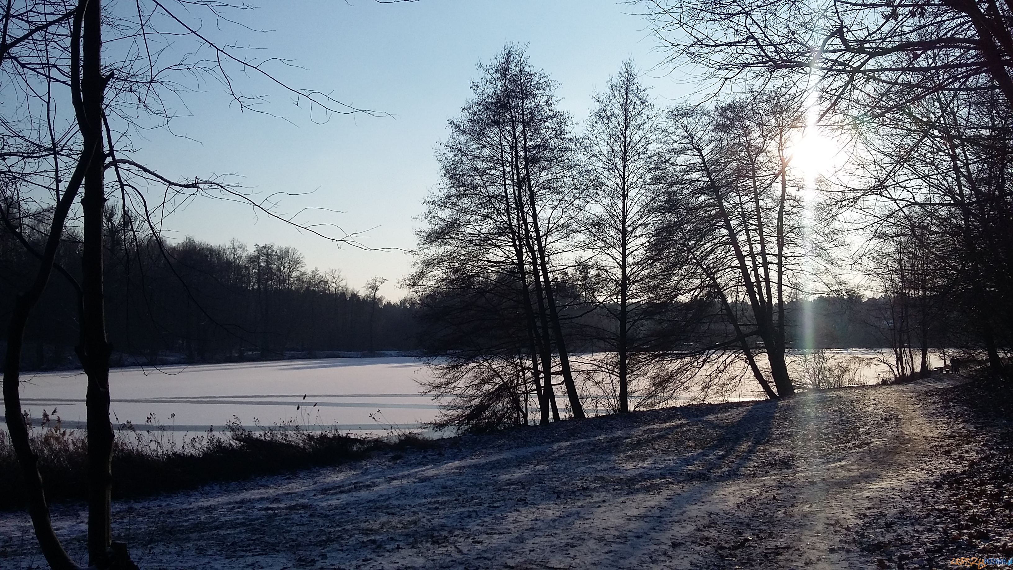 Szybka migawka - niedzielny spacer Foto: lepszyPOZNAN Szybka migawka - niedzielny spacer Foto: lepszyPOZNAN