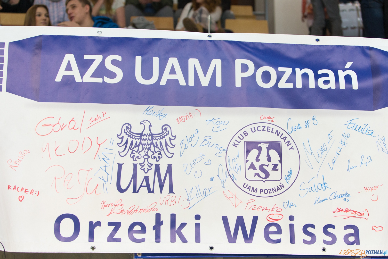 5. kolejka ekstraligi futsalu kobiet: KU AZS UAM Poznań – Kot Foto: lepszyPOZNAN.pl / Piotr Rychter 5. kolejka ekstraligi futsalu kobiet: KU AZS UAM Poznań – Kot Foto: lepszyPOZNAN.pl / Piotr Rychter