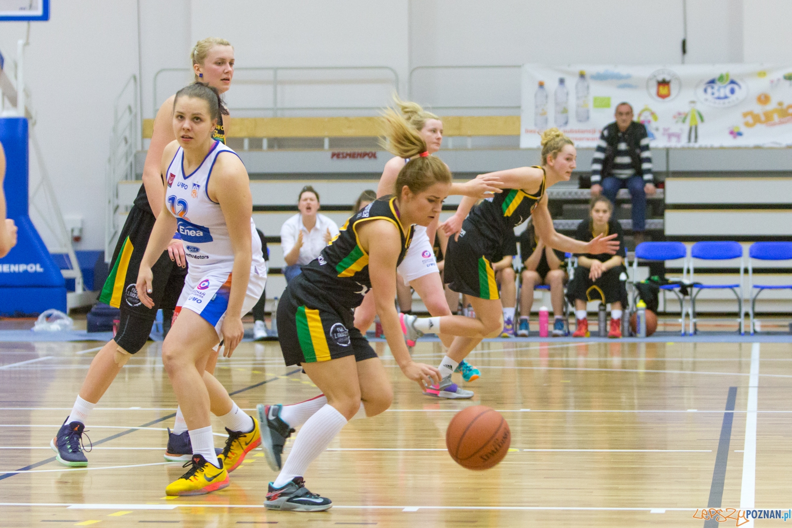Enea AZS Poznań - X-Demon Tecza Leszno Foto: lepszyPOZNAN.pl / Piotr Rychter Enea AZS Poznań - X-Demon Tecza Leszno Foto: lepszyPOZNAN.pl / Piotr Rychter