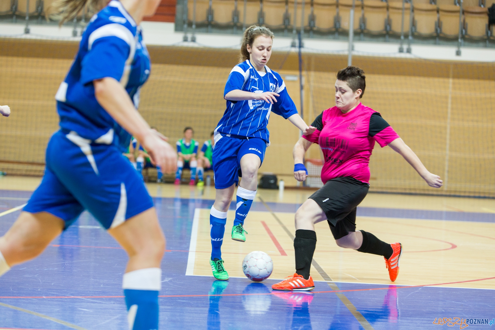 Futsal: AZS UAM Poznań – AZS Uniwersytet Warszawski Foto: lepszyPOZNAN.pl / Piotr Rychter Futsal: AZS UAM Poznań – AZS Uniwersytet Warszawski Foto: lepszyPOZNAN.pl / Piotr Rychter