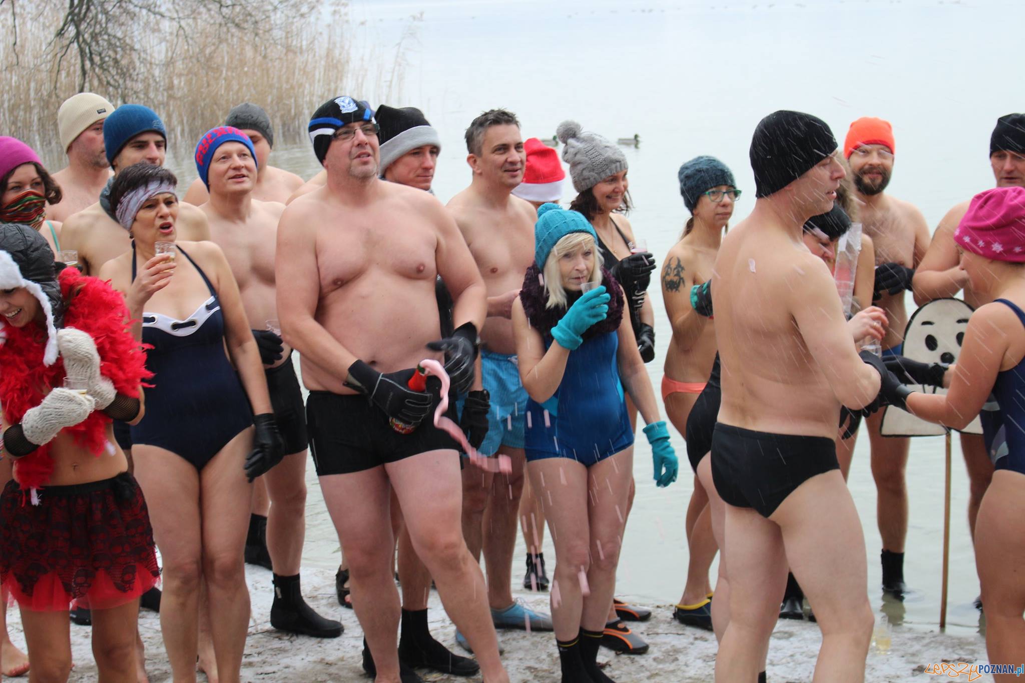 Poznanskie morsy (2) Foto: Morsy Poznan / facebook Poznanskie morsy (2) Foto: Morsy Poznan / facebook