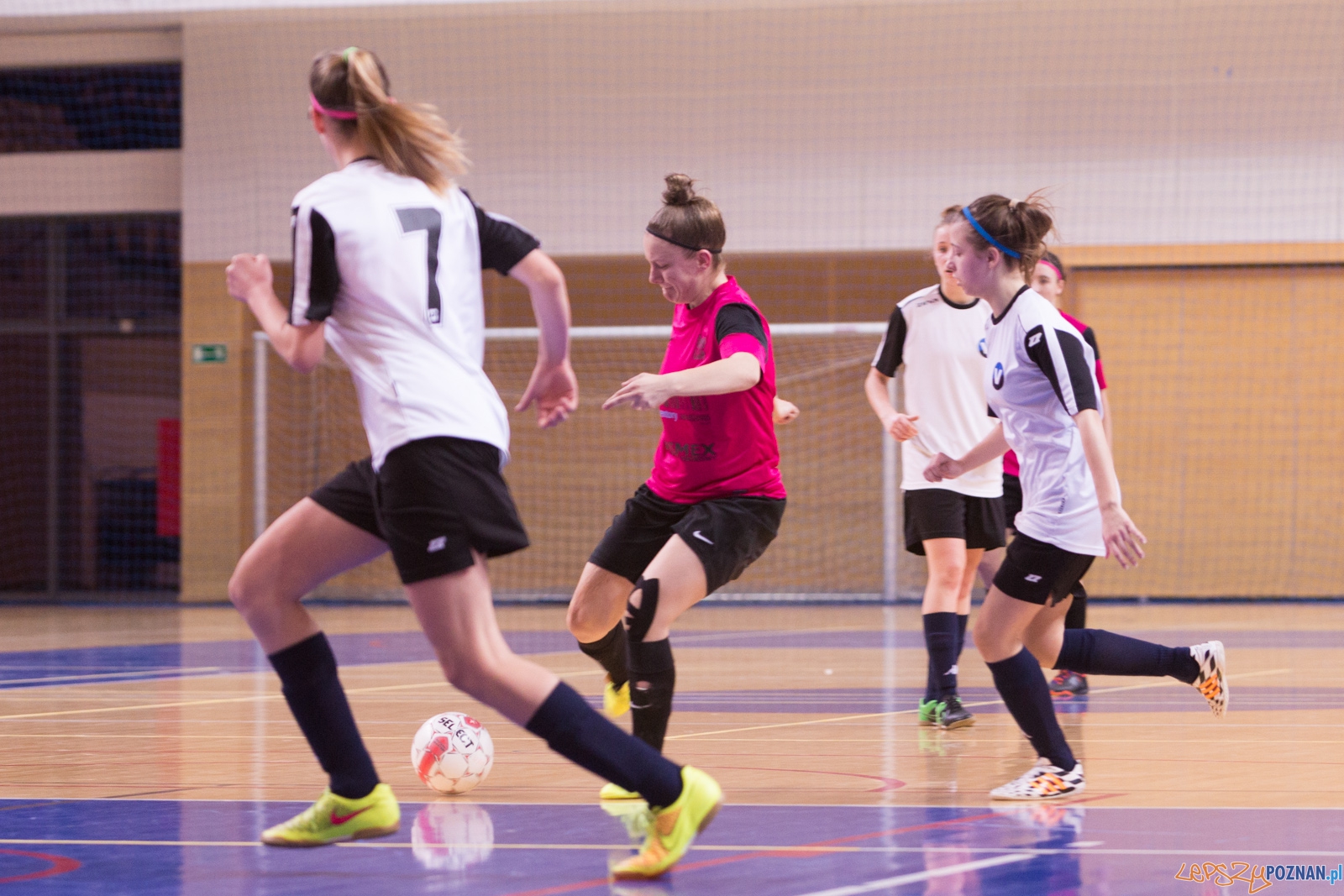 AZS Uam Poznań - Viking Aleksandrów Kujawski Foto: lepszyPOZNAN.pl / Piotr Rychter AZS Uam Poznań - Viking Aleksandrów Kujawski Foto: lepszyPOZNAN.pl / Piotr Rychter