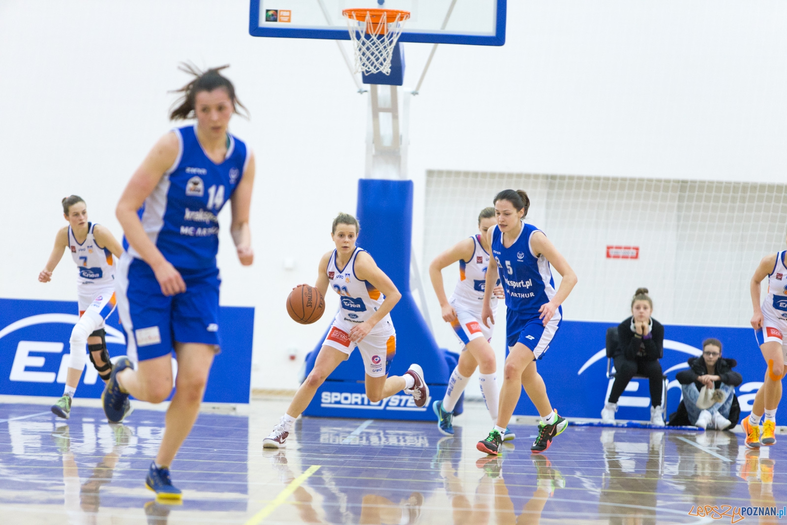 Enea AZS Poznań - AZS Politechnika Korona Kraków Foto: lepszyPOZNAN.pl / Piotr Rychter Enea AZS Poznań - AZS Politechnika Korona Kraków Foto: lepszyPOZNAN.pl / Piotr Rychter