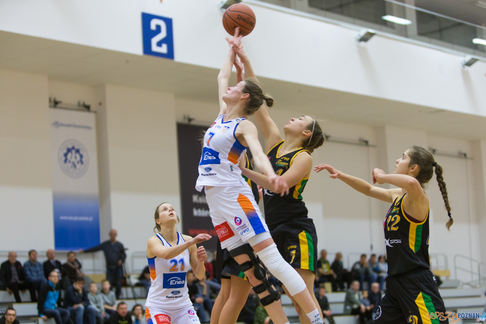 Enea AZS Poznań - X-Demon Tecza Leszno Foto: lepszyPOZNAN.pl / Piotr Rychter Enea AZS Poznań - X-Demon Tecza Leszno Foto: lepszyPOZNAN.pl / Piotr Rychter