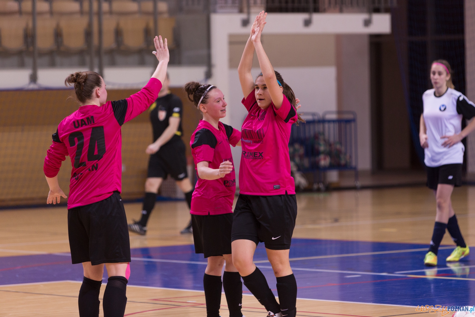 AZS Uam Poznań - Viking Aleksandrów Kujawski Foto: lepszyPOZNAN.pl / Piotr Rychter AZS Uam Poznań - Viking Aleksandrów Kujawski Foto: lepszyPOZNAN.pl / Piotr Rychter