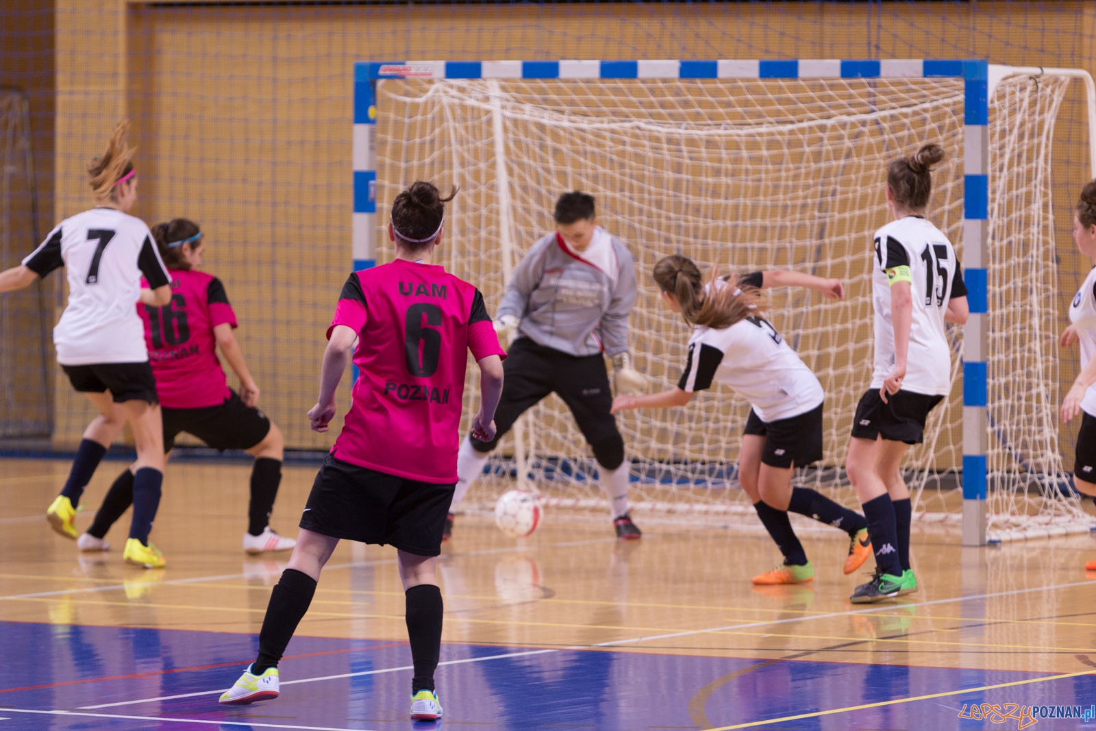 AZS Uam Poznań - Viking Aleksandrów Kujawski Foto: lepszyPOZNAN.pl / Piotr Rychter AZS Uam Poznań - Viking Aleksandrów Kujawski Foto: lepszyPOZNAN.pl / Piotr Rychter