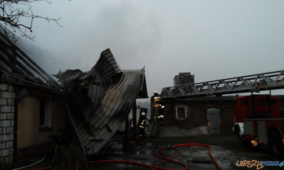 Poranny pożar domu Foto: OSP Skoki / T. Przykucki, K. Wontroba Poranny pożar domu Foto: OSP Skoki / T. Przykucki, K. Wontroba