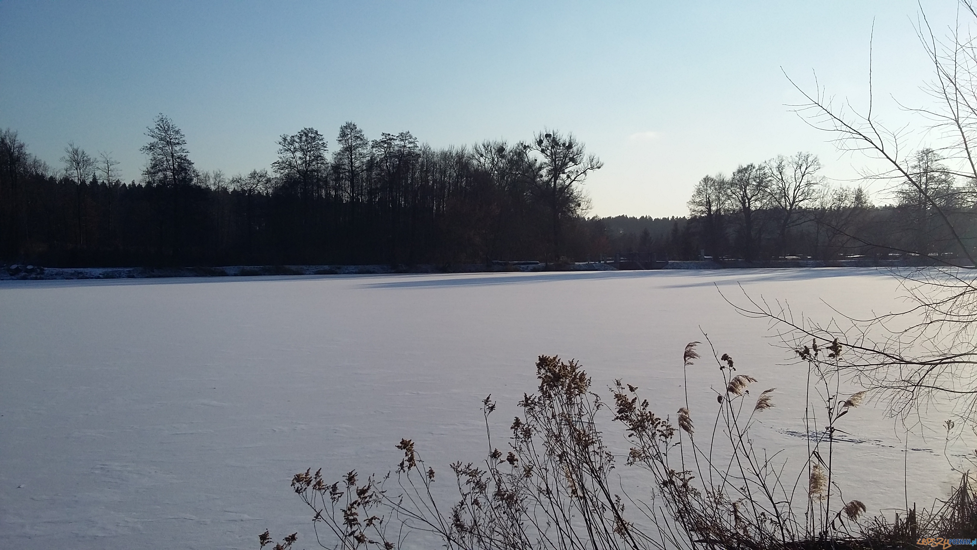 Szybka migawka - niedzielny spacer Foto: lepszyPOZNAN Szybka migawka - niedzielny spacer Foto: lepszyPOZNAN