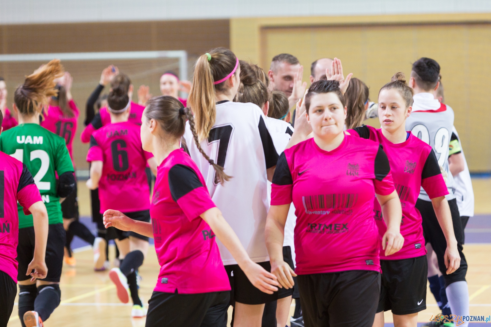 AZS Uam Poznań - Viking Aleksandrów Kujawski Foto: lepszyPOZNAN.pl / Piotr Rychter AZS Uam Poznań - Viking Aleksandrów Kujawski Foto: lepszyPOZNAN.pl / Piotr Rychter