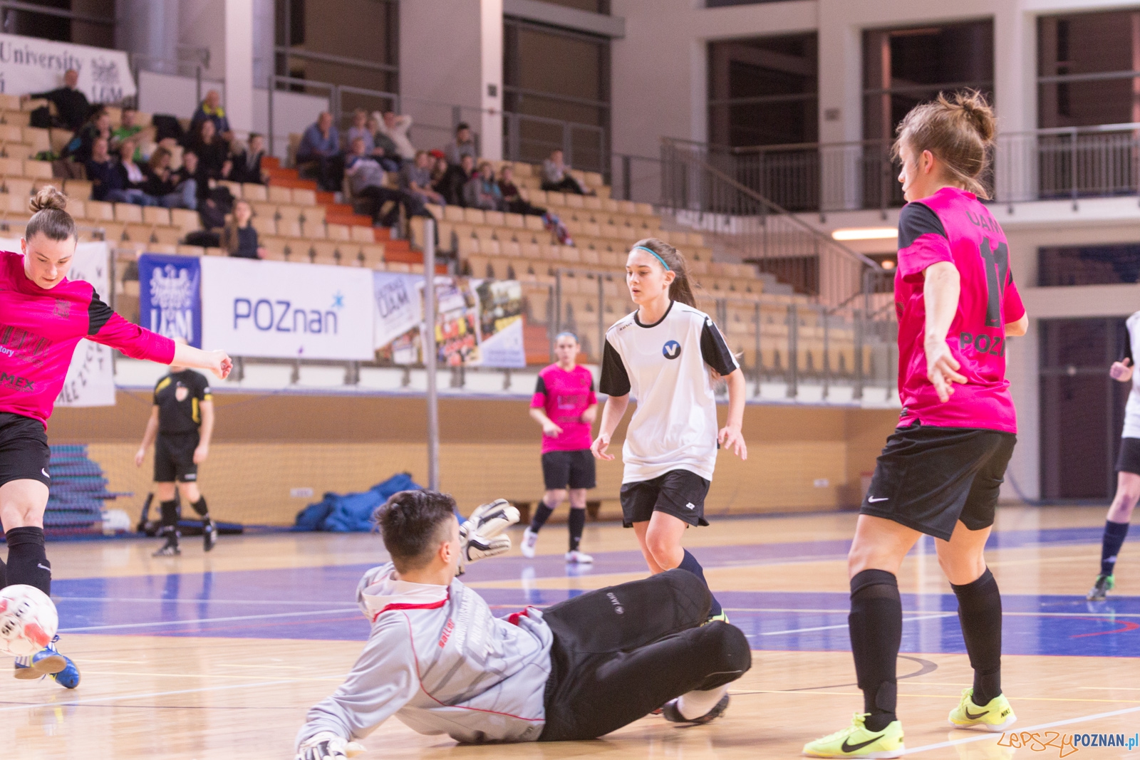AZS Uam Poznań - Viking Aleksandrów Kujawski Foto: lepszyPOZNAN.pl / Piotr Rychter AZS Uam Poznań - Viking Aleksandrów Kujawski Foto: lepszyPOZNAN.pl / Piotr Rychter