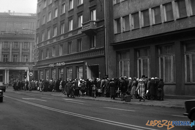 Mariusz Stachowiak, zdjęcie z wystawy Fotografia jak kromka chleba - Poznań, Warszawa 2010 r.  Foto: Fundacja Instytut Fotografii proFotografia