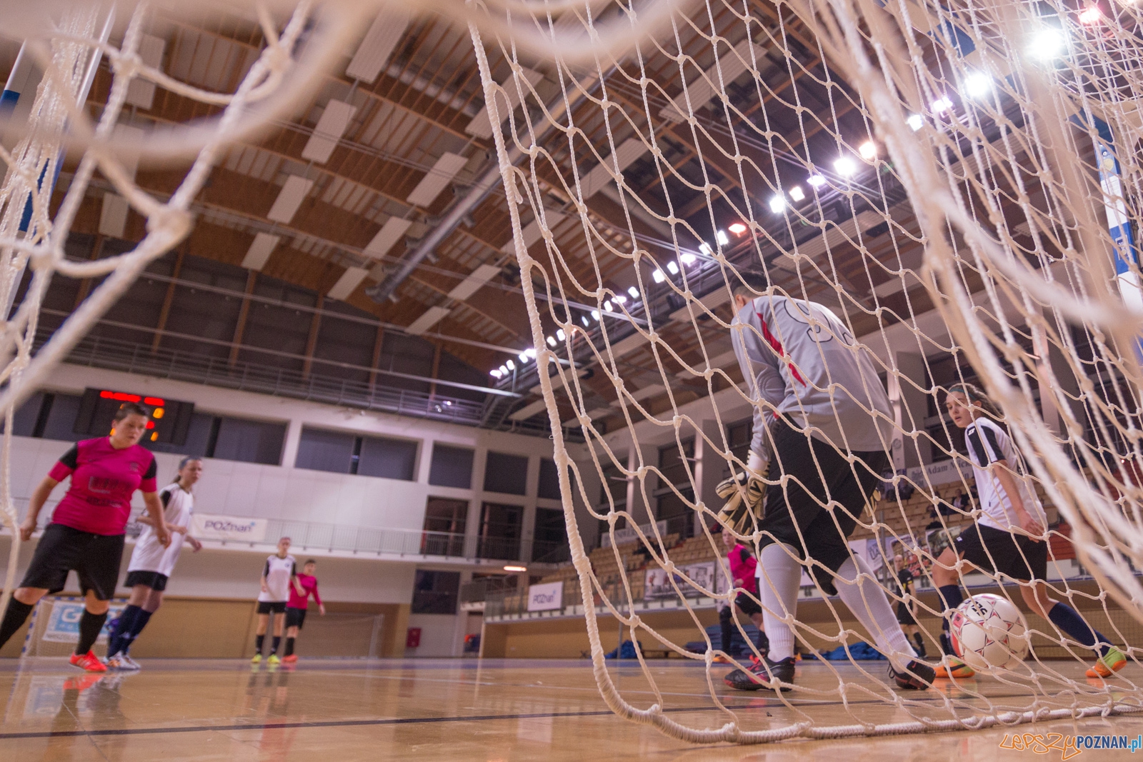 AZS Uam Poznań - Viking Aleksandrów Kujawski Foto: lepszyPOZNAN.pl / Piotr Rychter AZS Uam Poznań - Viking Aleksandrów Kujawski Foto: lepszyPOZNAN.pl / Piotr Rychter