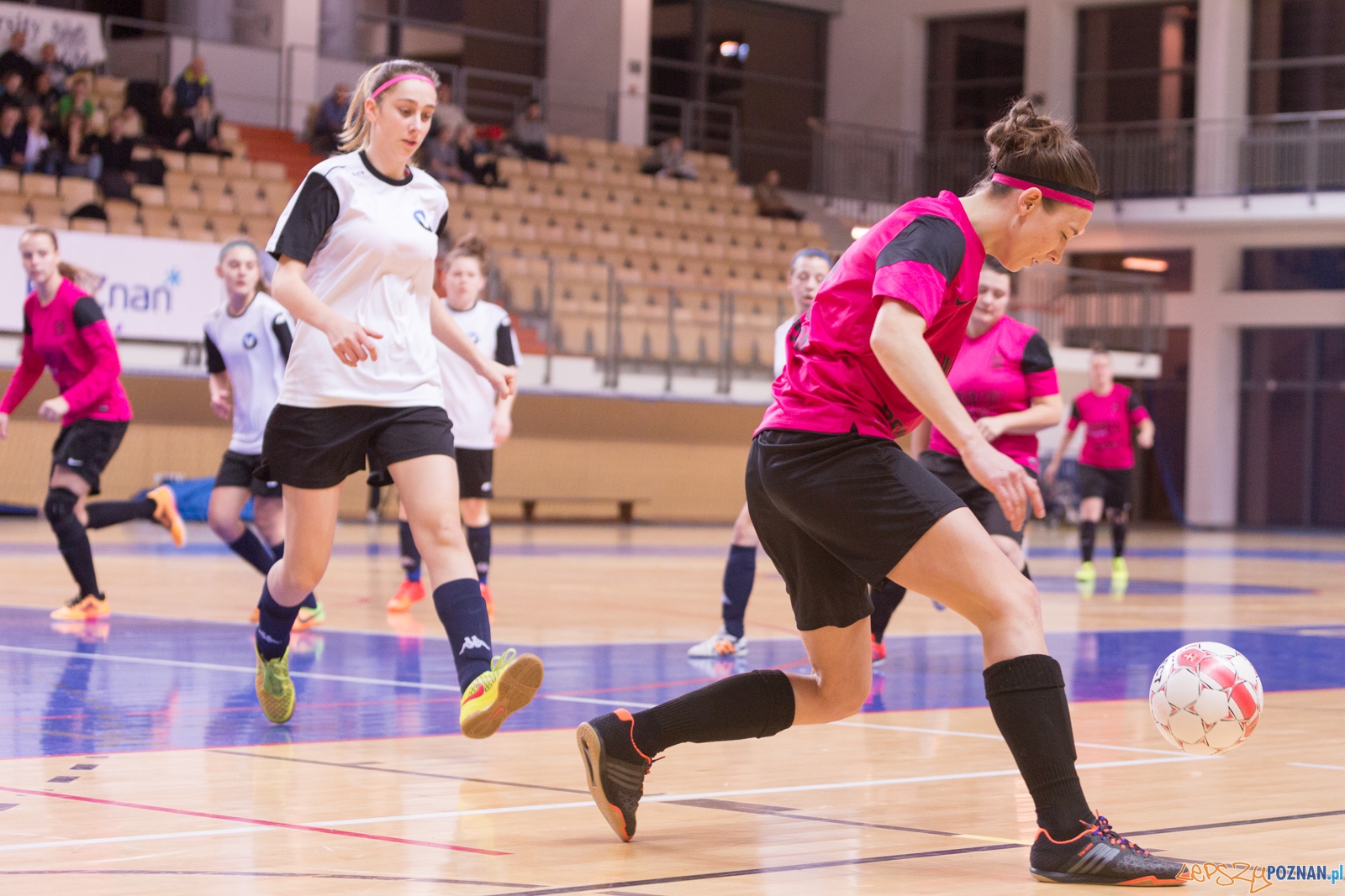 AZS Uam Poznań - Viking Aleksandrów Kujawski Foto: lepszyPOZNAN.pl / Piotr Rychter AZS Uam Poznań - Viking Aleksandrów Kujawski Foto: lepszyPOZNAN.pl / Piotr Rychter