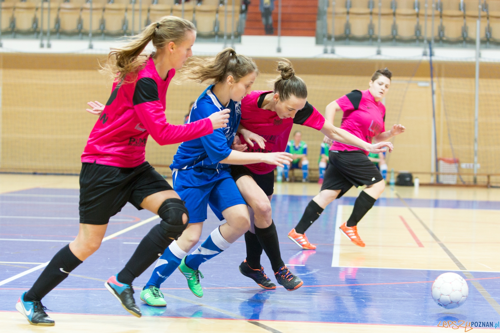 Futsal: AZS UAM Poznań – AZS Uniwersytet Warszawski Foto: lepszyPOZNAN.pl / Piotr Rychter Futsal: AZS UAM Poznań – AZS Uniwersytet Warszawski Foto: lepszyPOZNAN.pl / Piotr Rychter