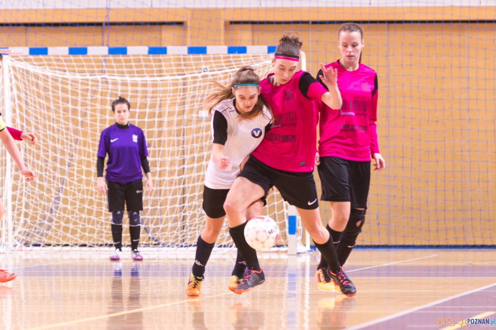 AZS Uam Poznań - Viking Aleksandrów Kujawski Foto: lepszyPOZNAN.pl / Piotr Rychter AZS Uam Poznań - Viking Aleksandrów Kujawski Foto: lepszyPOZNAN.pl / Piotr Rychter