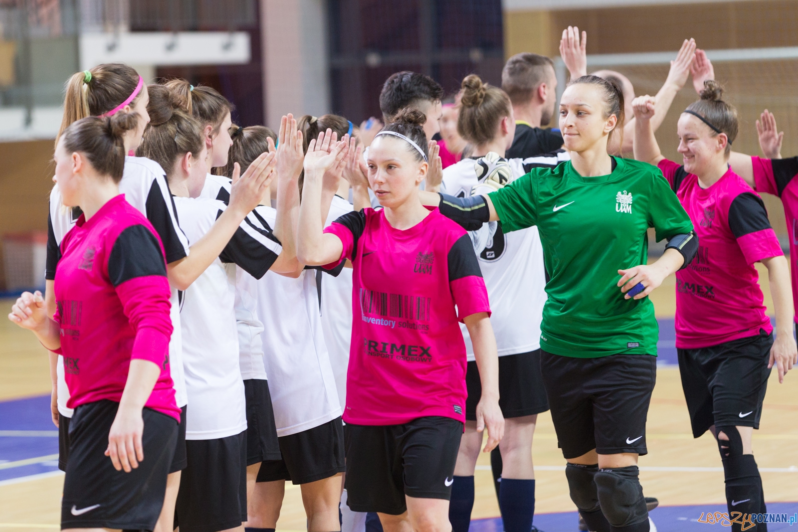 AZS Uam Poznań - Viking Aleksandrów Kujawski Foto: lepszyPOZNAN.pl / Piotr Rychter AZS Uam Poznań - Viking Aleksandrów Kujawski Foto: lepszyPOZNAN.pl / Piotr Rychter