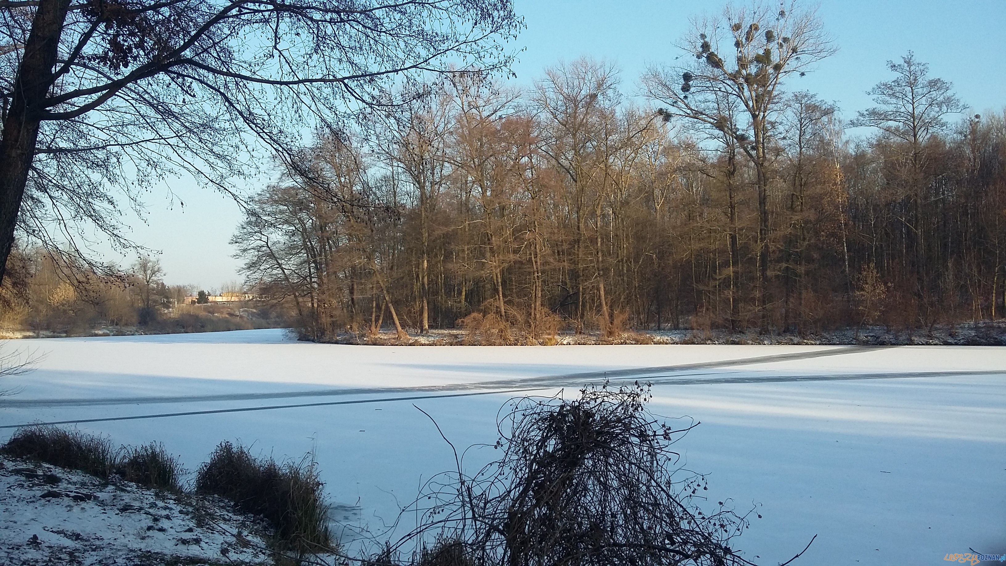 Szybka migawka - niedzielny spacer Foto: lepszyPOZNAN Szybka migawka - niedzielny spacer Foto: lepszyPOZNAN