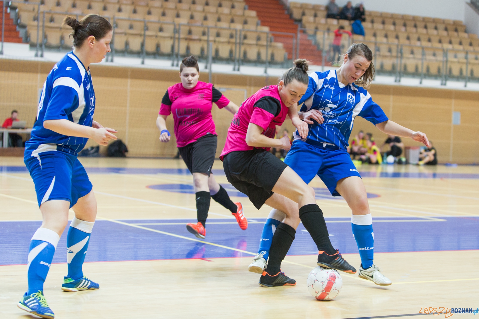 Futsal: AZS UAM Poznań – AZS Uniwersytet Warszawski Foto: lepszyPOZNAN.pl / Piotr Rychter Futsal: AZS UAM Poznań – AZS Uniwersytet Warszawski Foto: lepszyPOZNAN.pl / Piotr Rychter