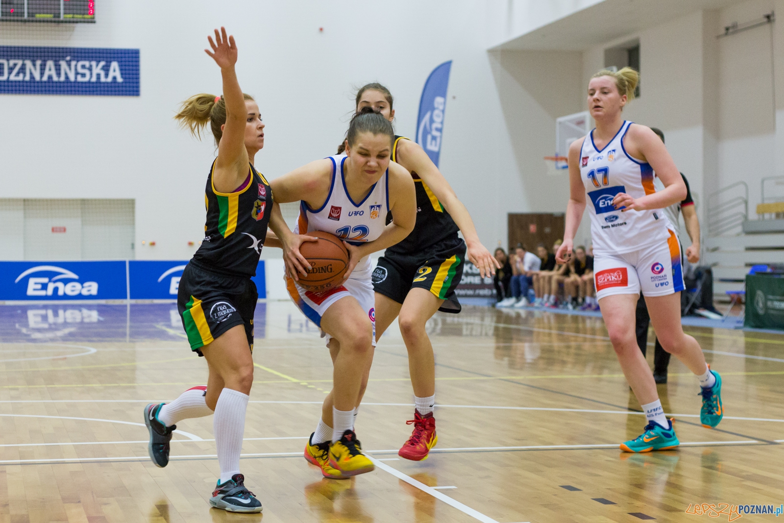 Enea AZS Poznań - X-Demon Tecza Leszno Foto: lepszyPOZNAN.pl / Piotr Rychter Enea AZS Poznań - X-Demon Tecza Leszno Foto: lepszyPOZNAN.pl / Piotr Rychter