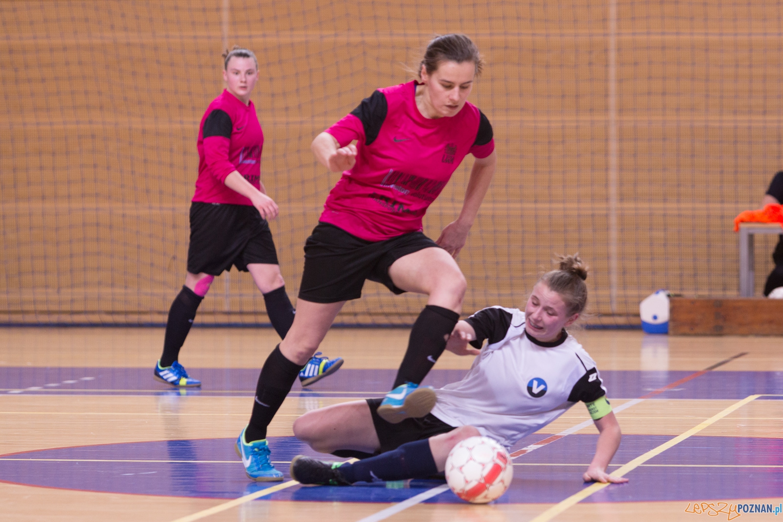 AZS Uam Poznań - Viking Aleksandrów Kujawski Foto: lepszyPOZNAN.pl / Piotr Rychter AZS Uam Poznań - Viking Aleksandrów Kujawski Foto: lepszyPOZNAN.pl / Piotr Rychter