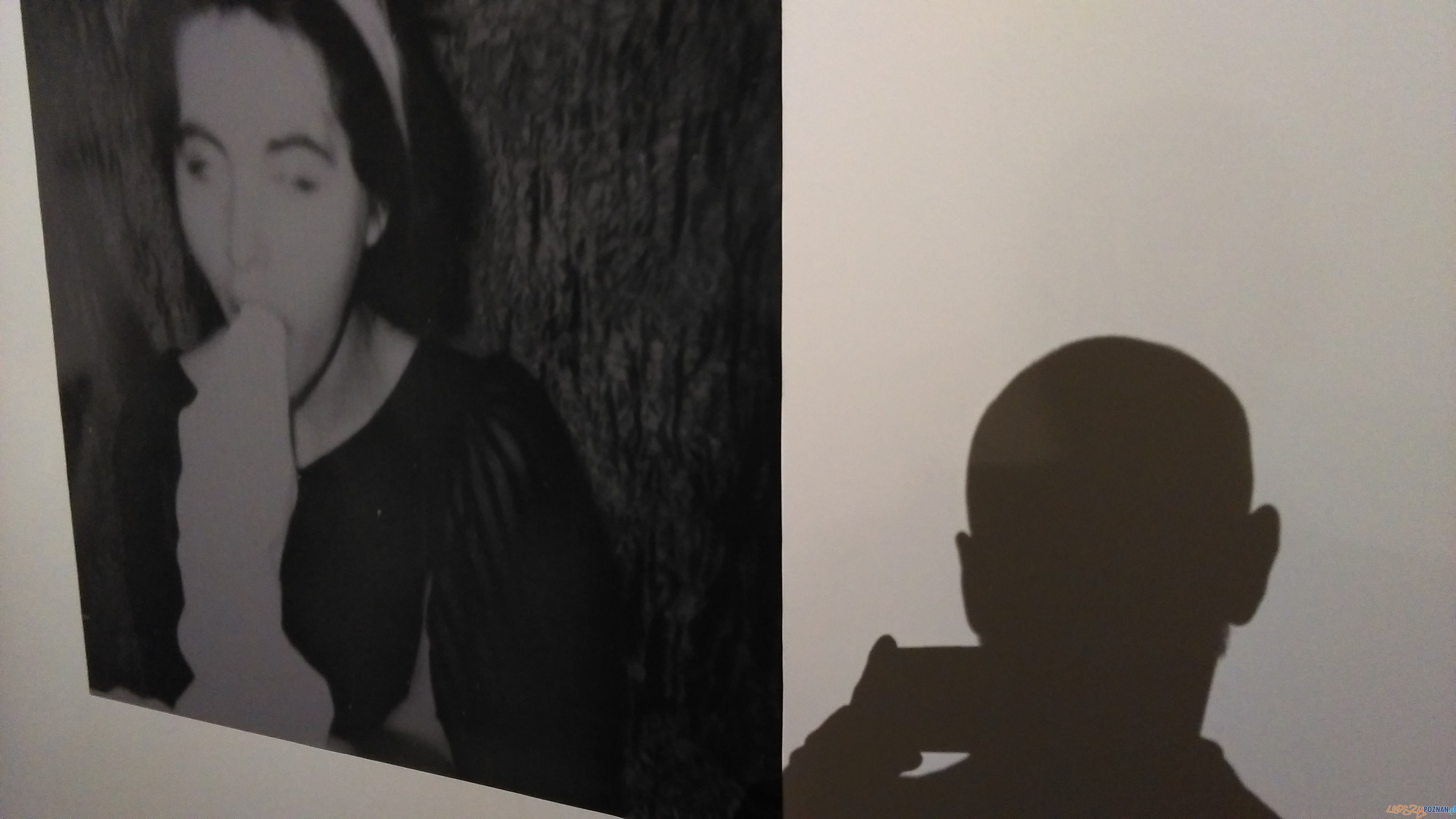 Wystawa w galerii pf Foto: TD Wystawa w galerii pf Foto: TD