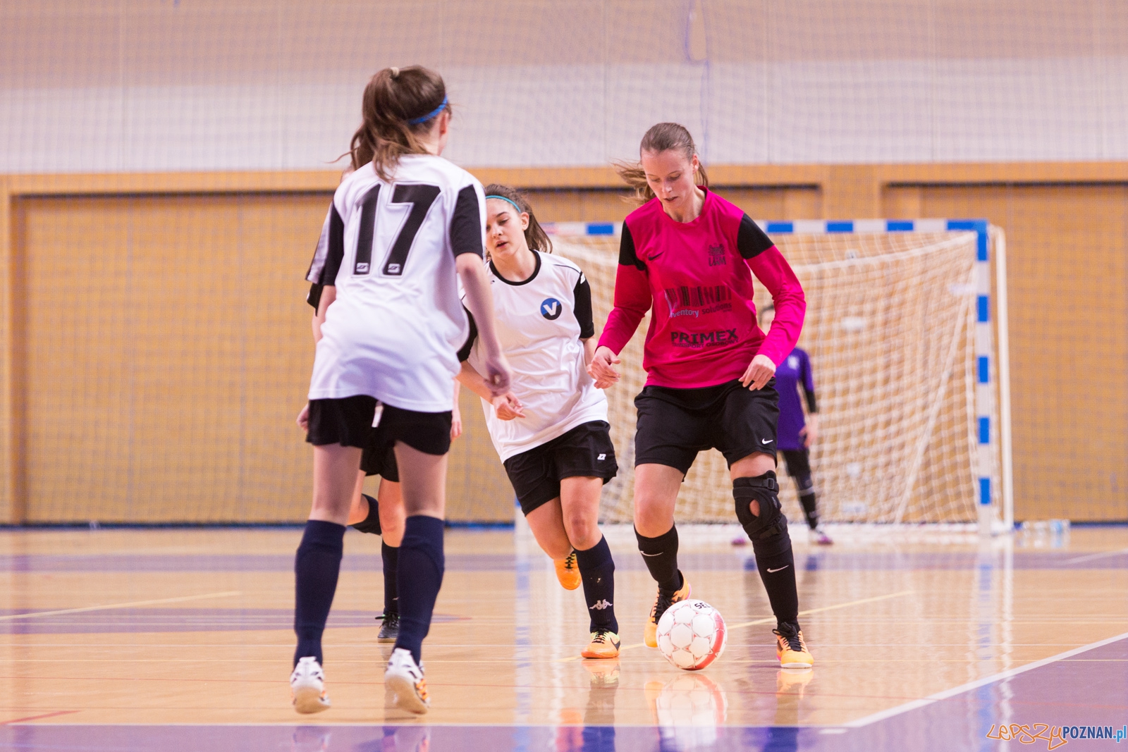 AZS Uam Poznań - Viking Aleksandrów Kujawski Foto: lepszyPOZNAN.pl / Piotr Rychter AZS Uam Poznań - Viking Aleksandrów Kujawski Foto: lepszyPOZNAN.pl / Piotr Rychter