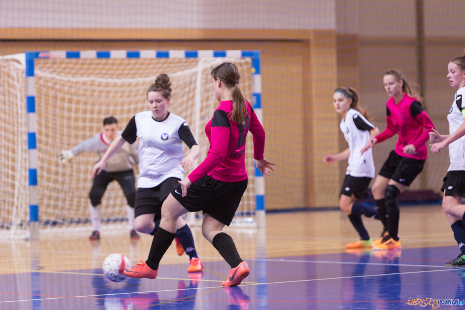 AZS Uam Poznań - Viking Aleksandrów Kujawski Foto: lepszyPOZNAN.pl / Piotr Rychter AZS Uam Poznań - Viking Aleksandrów Kujawski Foto: lepszyPOZNAN.pl / Piotr Rychter