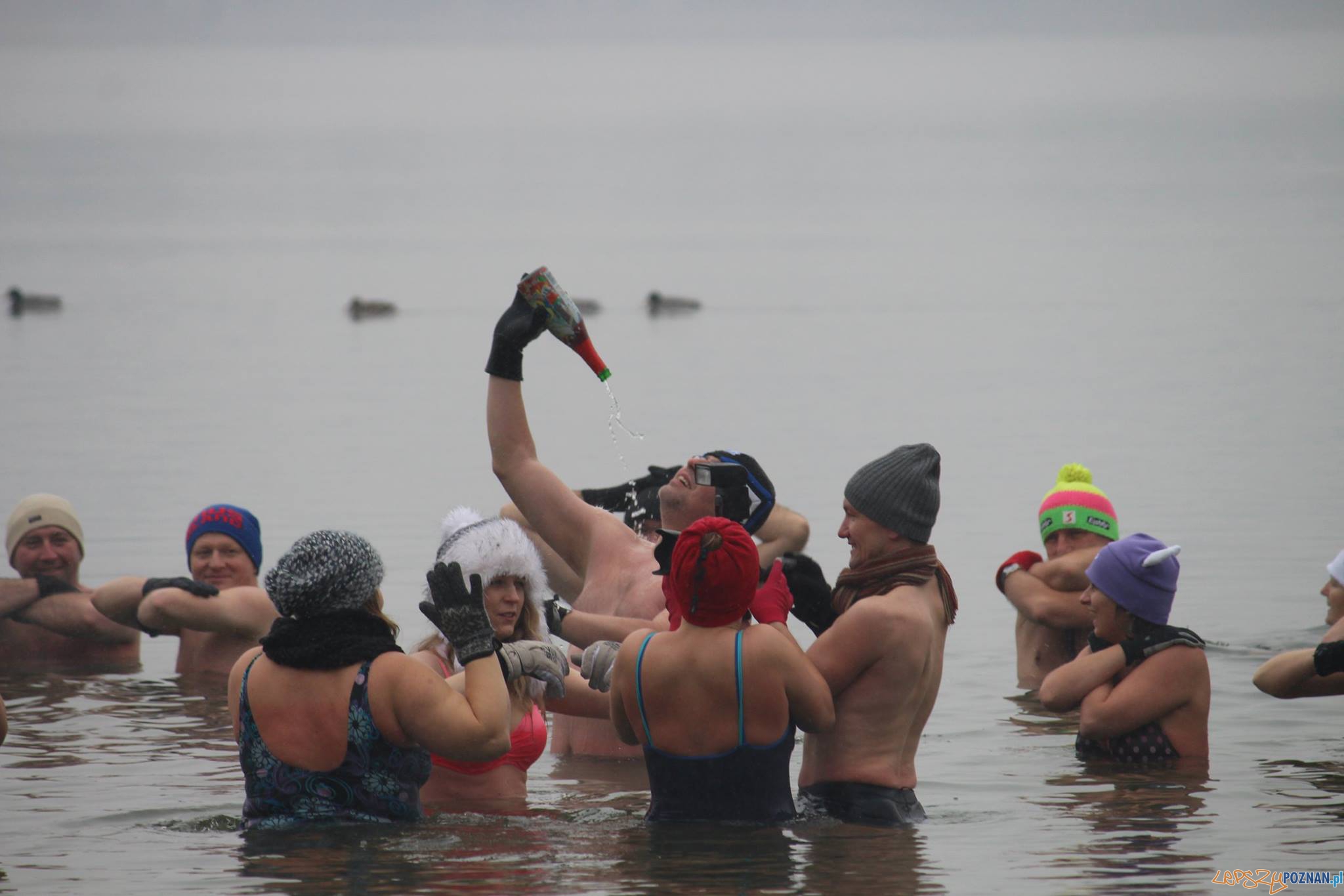 Poznanskie morsy (6) Foto: Morsy Poznan / facebook Poznanskie morsy (6) Foto: Morsy Poznan / facebook