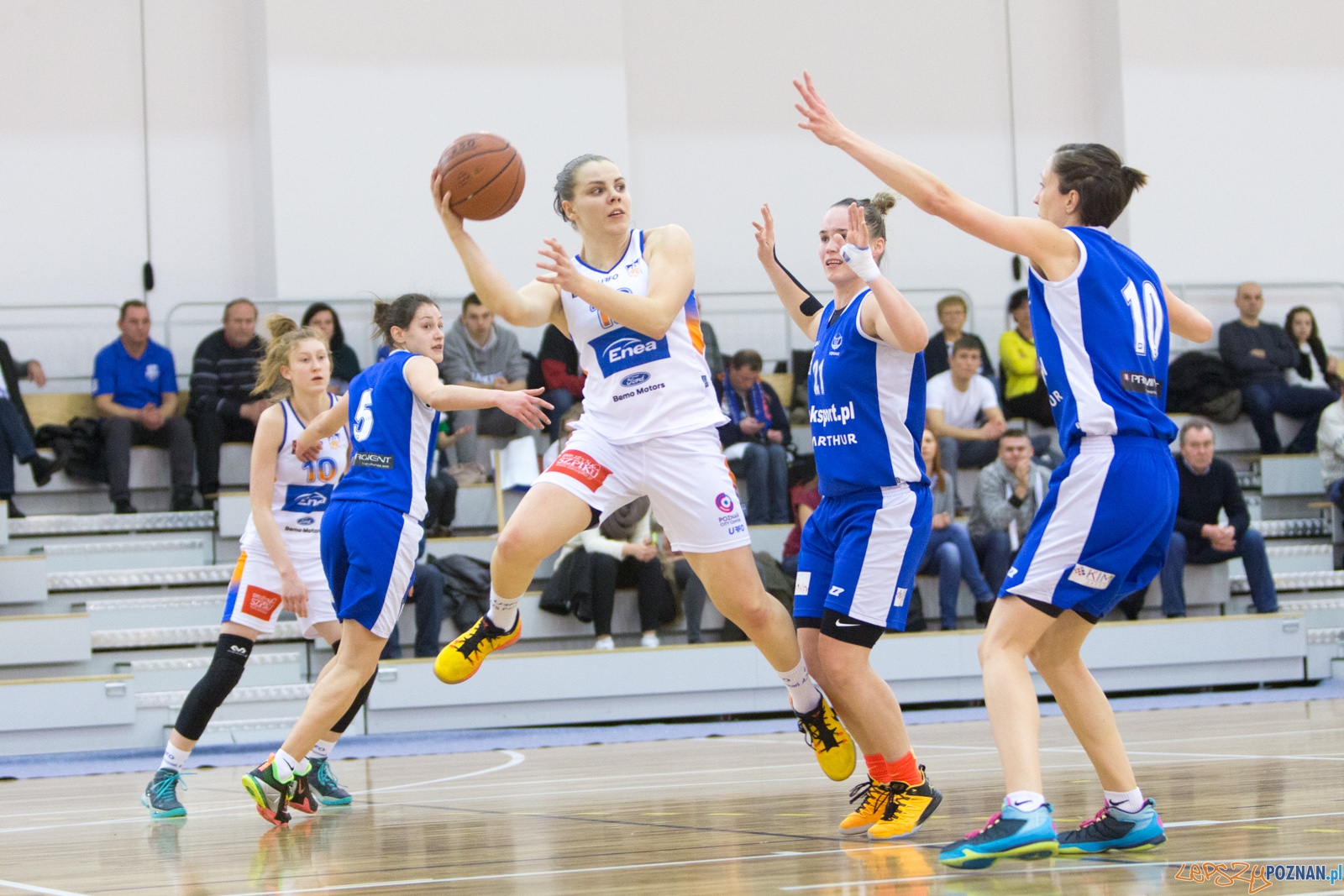 Enea AZS Poznań - AZS Politechnika Korona Kraków  Foto: lepszyPOZNAN.pl / Piotr Rychter