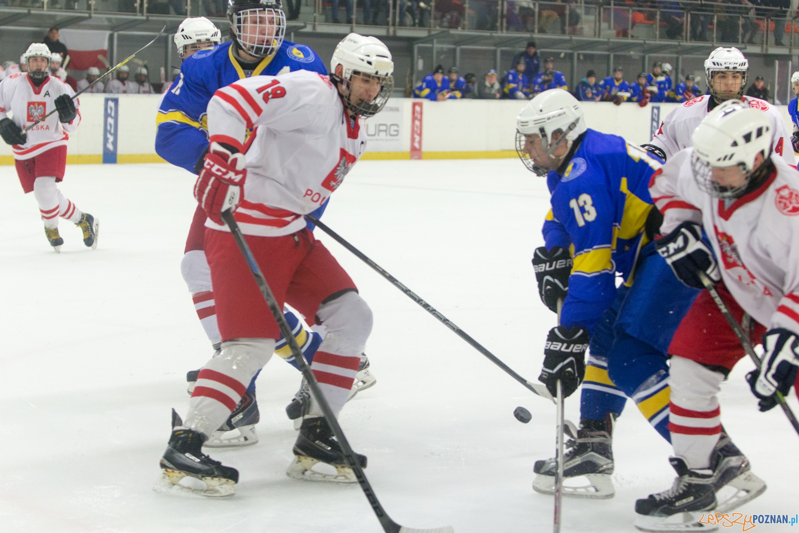 Międzynarodowy turniej hokeja na lodzie U18 (Polska - Ukraina) Foto: lepszyPOZNAN.pl / Piotr Rychter Międzynarodowy turniej hokeja na lodzie U18 (Polska - Ukraina) Foto: lepszyPOZNAN.pl / Piotr Rychter
