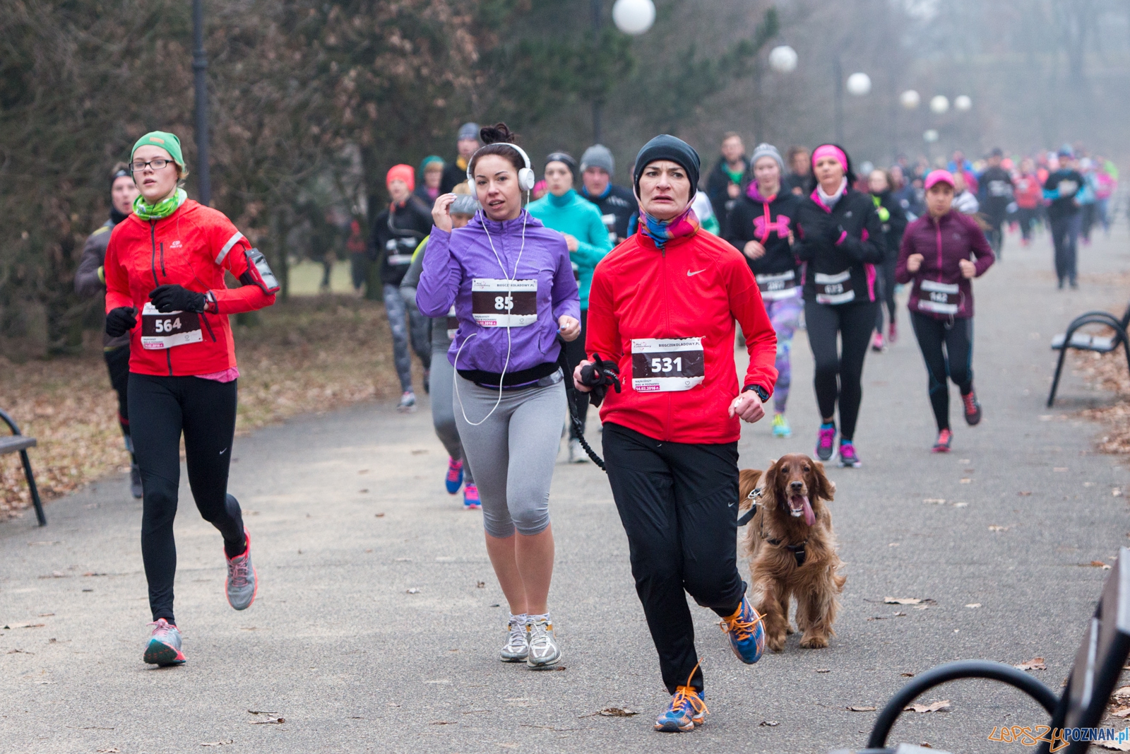 I Bieg Czekoladowy Foto: lepszyPOZNAN.pl / Piotr Rychter I Bieg Czekoladowy Foto: lepszyPOZNAN.pl / Piotr Rychter