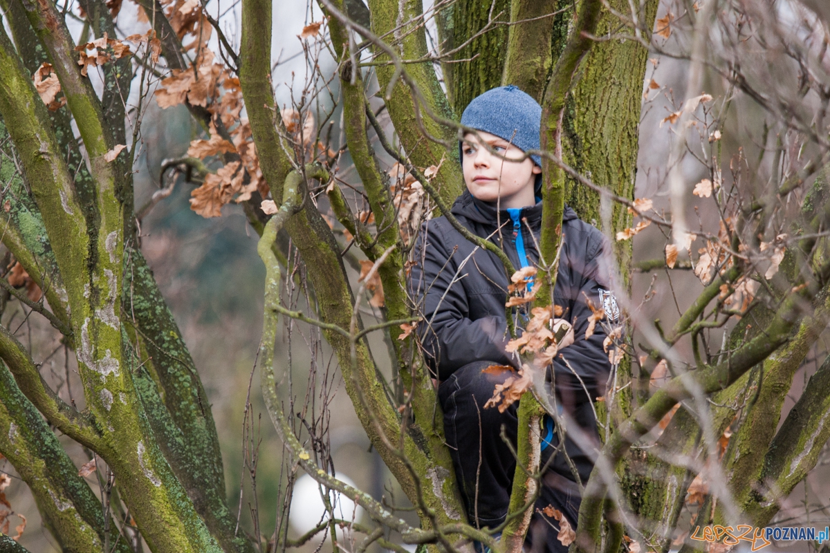 Bitwa o Poznań 2016 - inscenizacja (21.02.2016) Cytadela Foto: © lepszyPOZNAN.pl / Karolina Kiraga Bitwa o Poznań 2016 - inscenizacja (21.02.2016) Cytadela Foto: © lepszyPOZNAN.pl / Karolina Kiraga
