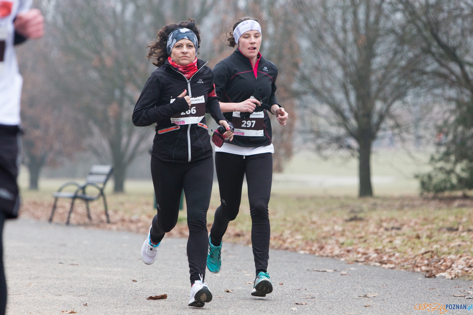 I Bieg Czekoladowy Foto: lepszyPOZNAN.pl / Piotr Rychter I Bieg Czekoladowy Foto: lepszyPOZNAN.pl / Piotr Rychter