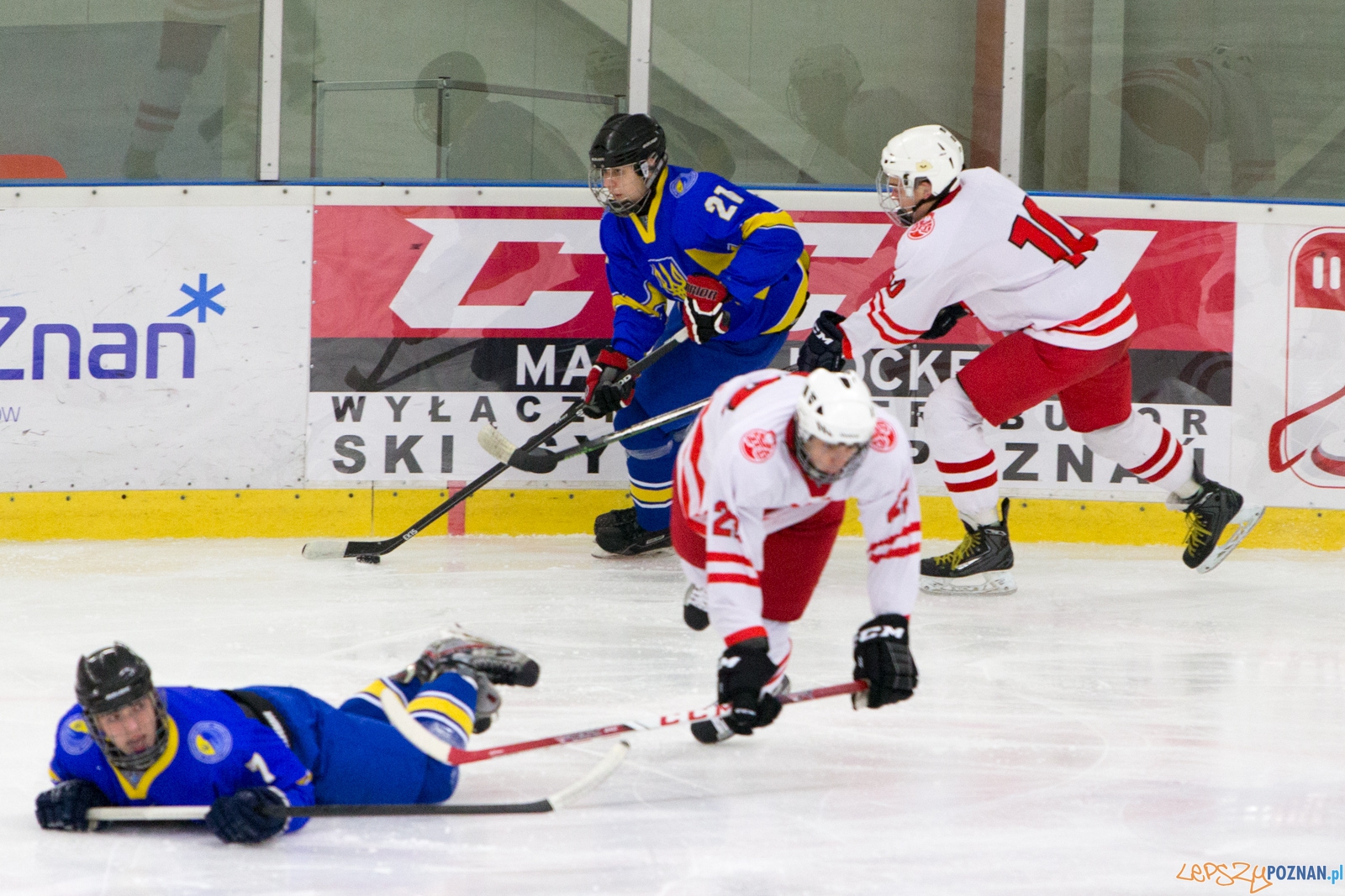 Międzynarodowy turniej hokeja na lodzie U18 (Polska - Ukraina) Foto: lepszyPOZNAN.pl / Piotr Rychter Międzynarodowy turniej hokeja na lodzie U18 (Polska - Ukraina) Foto: lepszyPOZNAN.pl / Piotr Rychter