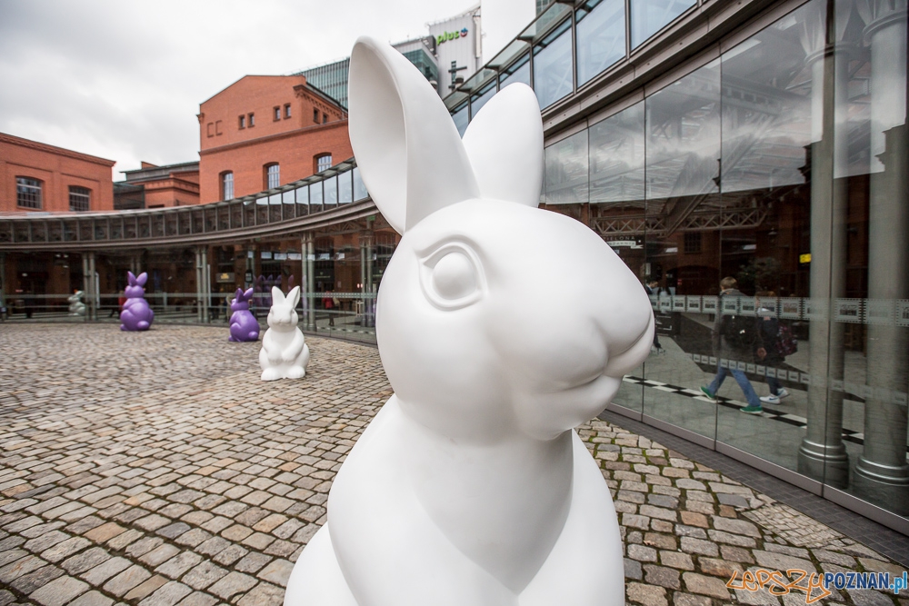 Wielkanoc 2016 w Starym Browarze Foto: Jakub Wittchen Wielkanoc 2016 w Starym Browarze Foto: Jakub Wittchen