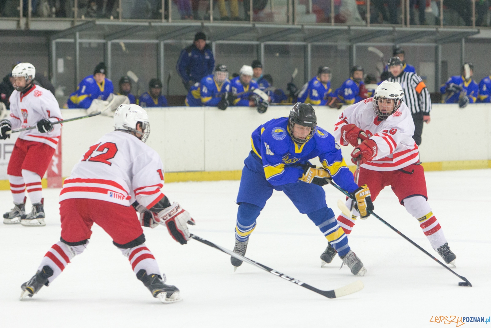 Międzynarodowy turniej hokeja na lodzie U18 (Polska - Ukraina) Foto: lepszyPOZNAN.pl / Piotr Rychter Międzynarodowy turniej hokeja na lodzie U18 (Polska - Ukraina) Foto: lepszyPOZNAN.pl / Piotr Rychter