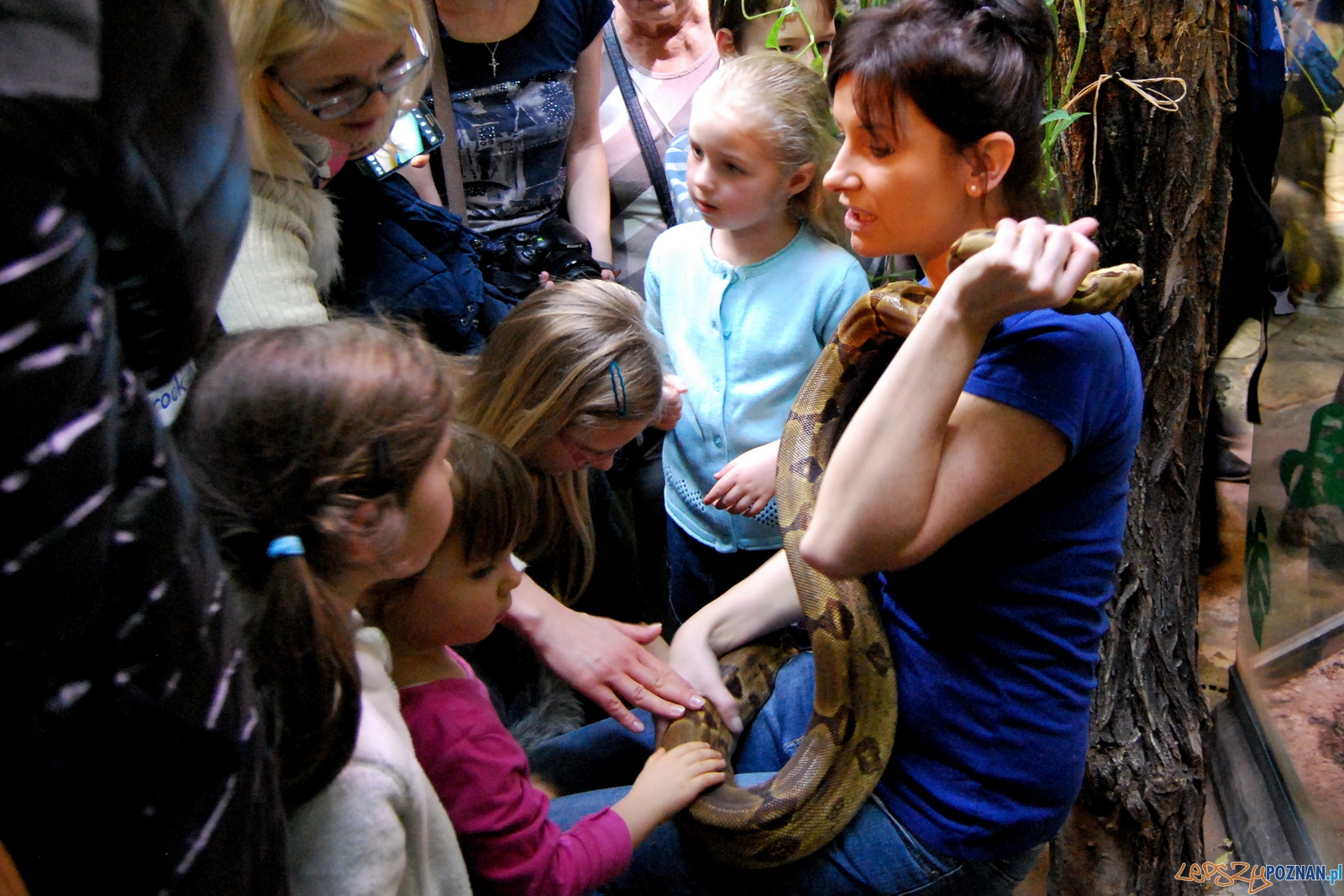 0Udane spotkanie ze... smokami! Foto: ZOO Poznań 0Udane spotkanie ze... smokami! Foto: ZOO Poznań